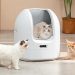 Choueer Lets the Cat Out of the Bag with ChouBox Debut