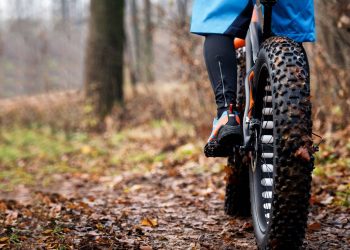 What do You Need to Know about Fat Tire E-Bikes?