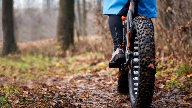 What do You Need to Know about Fat Tire E-Bikes?