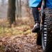 What do You Need to Know about Fat Tire E-Bikes?