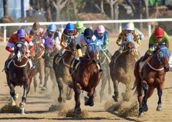 Test of The Champions: Historic Races Of Belmont Stakes