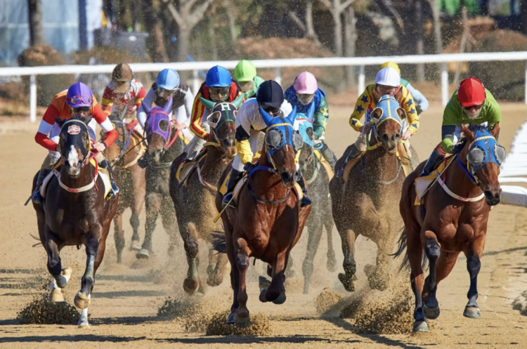 Test of The Champions: Historic Races Of Belmont Stakes