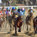 Test of The Champions: Historic Races Of Belmont Stakes