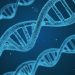 DNA testing can tell a lot about your health