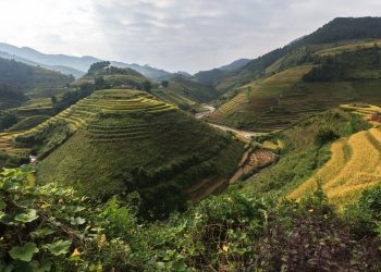 Tourism to South East Asia is Set To Boom In The Coming 5 Years