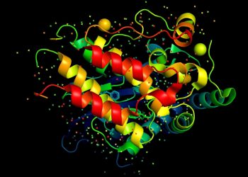 The Truth About Peptides: What You Need to Know Before Buying