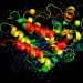 The Truth About Peptides: What You Need to Know Before Buying