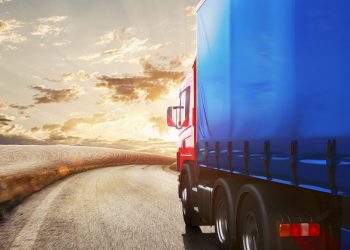 How Startups Survive in the Transport Sector