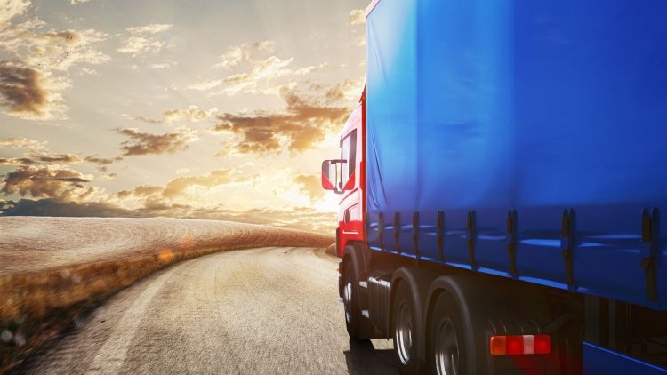 How Startups Survive in the Transport Sector