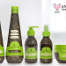 Consumers Are Beating The Summer Heat Successfully With Macadamia Products