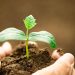 Pinduoduo Takes On Catalyst Role Promoting Applied Research in Agriculture