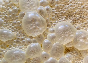 15 Breathtaking Facts about Fermentation that might Amaze you