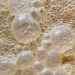 15 Breathtaking Facts about Fermentation that might Amaze you