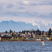Protecting & Preserving Puget Sound