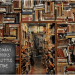 The Importance of Author’s Hook in Engaging Readers