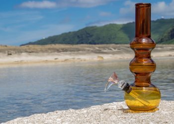 Reasons To Buy A Thicket Bong