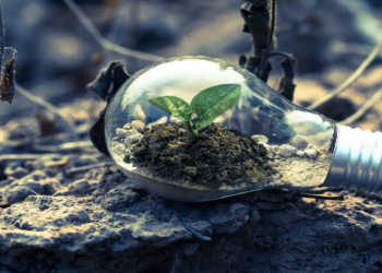 Solving Energy Crisis by Addressing Both the Needs for Greener Energy and Waste Disposal – Charlie Thannhaeuser