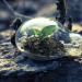 Solving Energy Crisis by Addressing Both the Needs for Greener Energy and Waste Disposal – Charlie Thannhaeuser