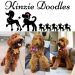 Get Your Puppies From Kinzie Doodles, the California Breeder of Goldendoodle Puppies