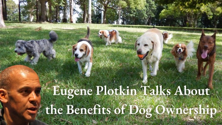Eugene Plotkin Talks About the Benefits of Dog Ownership