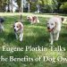 Eugene Plotkin Talks About the Benefits of Dog Ownership