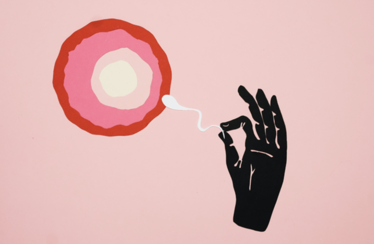 Fertility Rights are in Danger: How to Prepare for the Worst Case Scenario