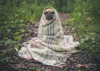 How to Protect Your Assets from the Cold