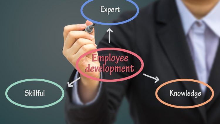Empowering Your Team: How Davina Ware Can Help Your Corporation Be Successful Through Employee Development