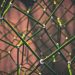 Blockchain in the Entertainment Sector in 2023
