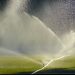 Use a Lawn Sprinkler Controller to Take Care of Your Property