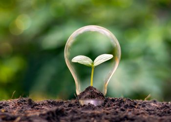 The responsibility of leading the journey towards net-zero should be shouldered by corporations, not nations.