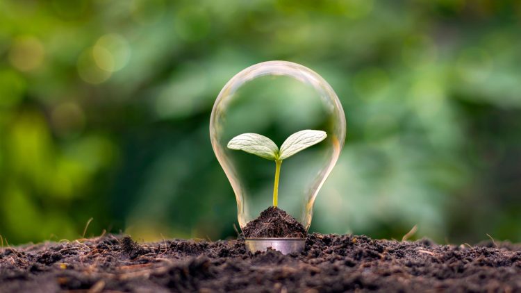 The responsibility of leading the journey towards net-zero should be shouldered by corporations, not nations.