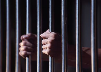 5 Global Criminal Organizations in the World
