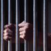 5 Global Criminal Organizations in the World