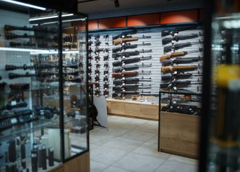What To Know About Gun Mounting Systems