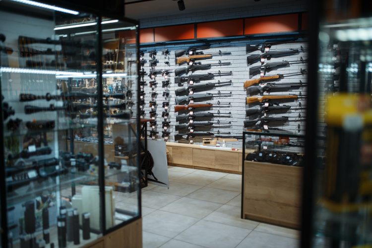What To Know About Gun Mounting Systems