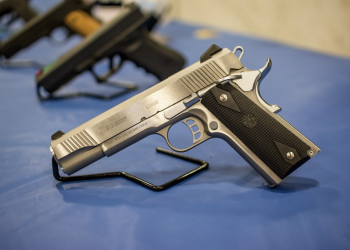 What Are the Different Types of Guns?
