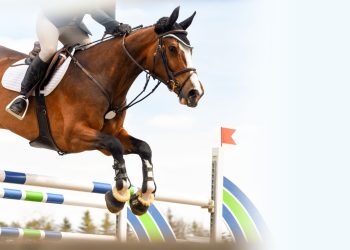 The Importance of Horse Care in Show Jumping: Alec Lawler’s Tips for Optimal Performance