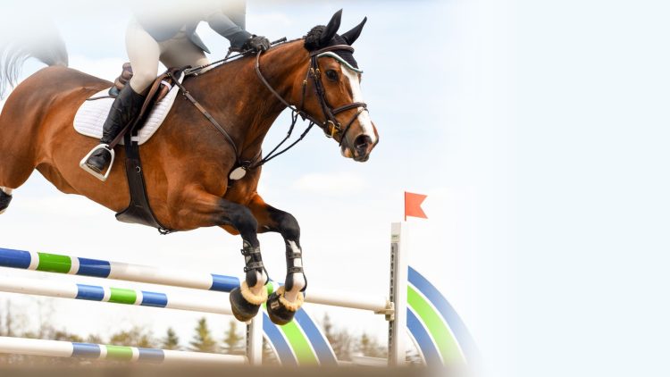 The Importance of Horse Care in Show Jumping: Alec Lawler’s Tips for Optimal Performance