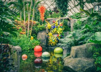 Ian McAllister Illuminates the State of Pacific Northwest Ecosystems through His Conservationist Lens
