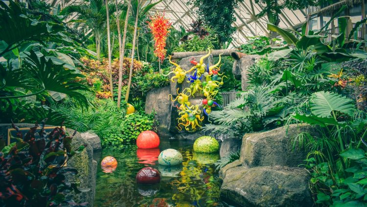 Ian McAllister Illuminates the State of Pacific Northwest Ecosystems through His Conservationist Lens