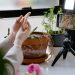 Debunking the Myths of Influencer Marketing: Separating Fact from Fiction