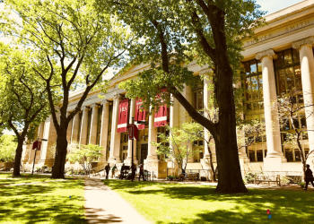 Demystifying the Labyrinth of Ivy League Admissions