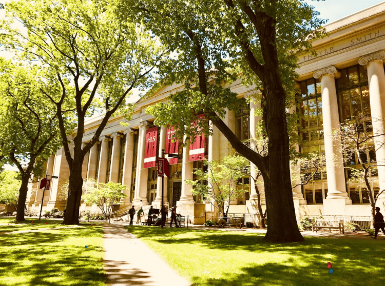 Demystifying the Labyrinth of Ivy League Admissions