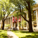 Demystifying the Labyrinth of Ivy League Admissions