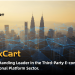 FluxCart: A Third-party E-commerce Managed Services Platform
