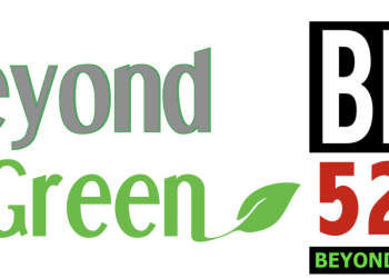 Beyond Green: Pioneering Environmental Solutions in a Changing World