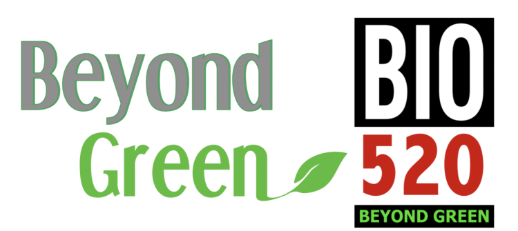 Beyond Green: Pioneering Environmental Solutions in a Changing World