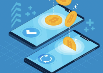 Harnessing Transaction Simulation for Smart Contract Development