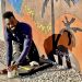 Unveiling Hope: The Transformative World of Tysen Knight’s Street Art
